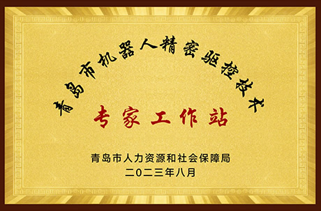 青岛市机器人精密<br>驱控技术专家工作站
